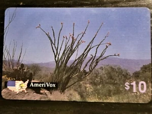 AmeriVox Telefonkarte. Ocotillo Kaktus in der Abenddämmerung. Kein Umschlag. - Bild 1 von 2