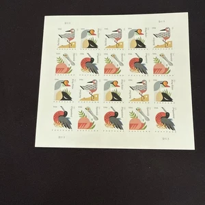 U.S. Stamp #4991-4994 Coastal Birds Postcard Rates 2015 Pane Of 20 Stamps MNH - Picture 1 of 2
