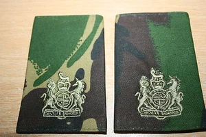 CHARRETERAS DE CAMUFLAJE DEL EJÉRCITO BRITÁNICO Y CADETE/TA WO1 OFICIAL DE LA ORDEN DPM - Imagen 1 de 1
