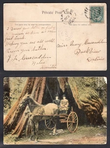Kanada Bates Manitoba 1905 Split Ring on Vancouver Postkarte nach Ruskview Ontario - Bild 1 von 3