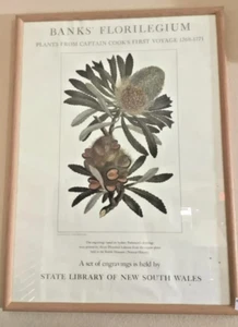 Flowering of the Pacific Banks' Florilegium Un film documentario, poster con scritta - Foto 1 di 1