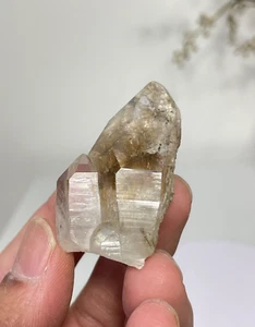 Rutile Himalayan Quartz Natural Crystal Q277a - Bild 1 von 5