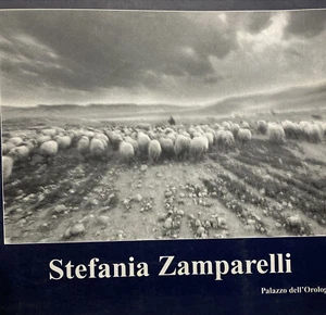 STEFANIA ZAMPARELLI PALAZZO DELL’OROLOGIO AF386 - Bild 1 von 2
