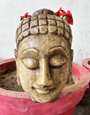 Antigua figura de meditación cabeza de Buda jainista de mármol hindú Mahaveer de colección rara Foto 1 de 4