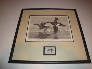 1969 Framed Federal Duck Stamp Print Scoter Ducks Maynard Reece RARE! - Picture 1 of 6