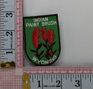Wyoming Travel Vacation Paint Brush Patch Badge Applique Crest Logo t11 - Picture 1 of 1