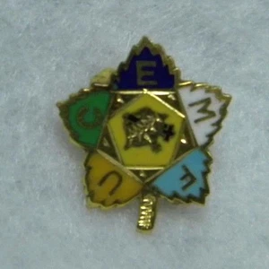 Pin en miniatura esmaltado en forma de hoja Royal Neighbors (L7) de colección - Imagen 1 de 2