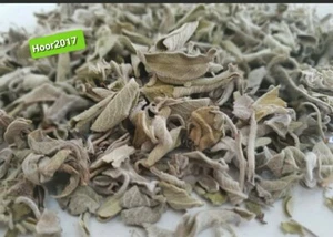 Loser getrockneter Salbei Palästinensischer Kräutertee Salbei Brennen Meramiyeh - Bild 1 von 7