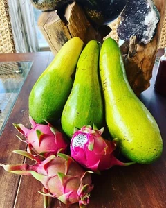 Avocado Tree - Picture 1 of 3