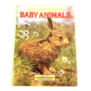 All Color Book Of Baby Animals 1974 Maurice Burton - Bild 1 von 12