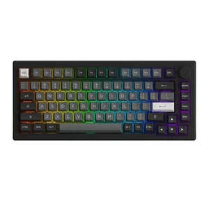Akko Black & Silver 5075B Plus, Mechanische Tastatur, QWERTY US, Dracula - Bild 1 von 6