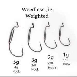 Weighted Wide Gap Hooks Weedless Soft Lures Bait Worm 1g 2g 3g 5g  5 Pack - Picture 1 of 3