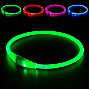 LED Dog Collar – USB Rechargeable Light-Up Safety Necklace for All Sizes - Picture 1 of 18