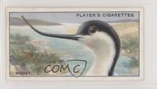1929 Player's Curious Beaks Tobacco Avocet #2 z6d