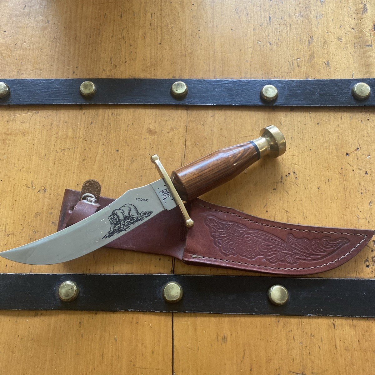 Case Stainless Steel Blade Stag/Antler Handle Collectible Case Stainless Steel Blade Stag/Antler Handle Collectible