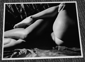 Fotografía firmada por Robert Steele estilo Ruth Bernhard 11"x14" #13 de 50 - Imagen 1 de 2