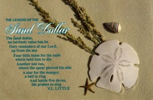 Mike Marsala Photo Legend of the Sand Dollar Postcard - Picture 1 of 2
