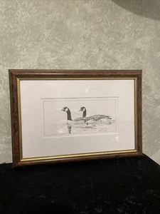 Vintage Bird Print Framed Gerald W. Putt Signed - Picture 1 of 10
