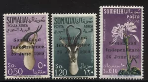 Somalia 1960 Somaliland Independence set Sc# 242/C69 NH - Picture 1 of 1