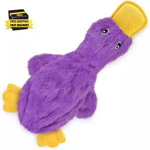 Crinkle Dog Toy for Small, Medium, and Large Breeds, Cute No Stuffing Duck with - Picture 1 of 5