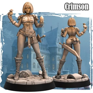 Dungeons & Dragons Playable Character - Female Human Crimson - Rogue, Fighter - Picture 1 of 11