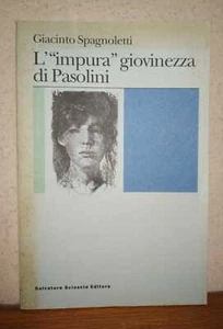 Spagnoletti, L'IMPURA GIOVINEZZA DI PASOLINI. dai Diari giovanili poeta Casarsa - Foto 1 di 7