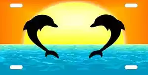 Dolphin Sunset License Plate- Personalize for free - Picture 1 of 2