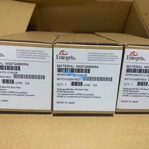 Entegris WGFGMBRR4 filter Fast shipping via DHL or FedEx - Picture 1 of 1