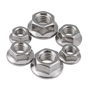 M3 M4 M5 M6 M8 M10 M12 Flange Hexagon Serrated Nut Self-Lock Nut Stainless Steel - Picture 1 of 7