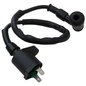 Ignition Coil For Kawasaki KLX 110 2002 2003 2004 2005 2006 2007 2008 2009 20... - Picture 1 of 6
