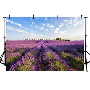 Purple Lavender Photography Backdrop Photo Background Wedding Party Occassion - Picture 1 of 3