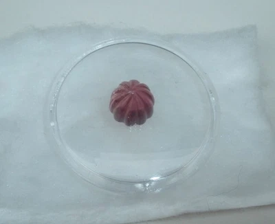 Gema redonda de lujo con forma de bala de turmalina rosa de 8 mm Foto 1 de 4