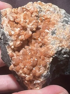 Stilbite Crystals, Great Notch, Passaic CO, NJ - Picture 1 of 6