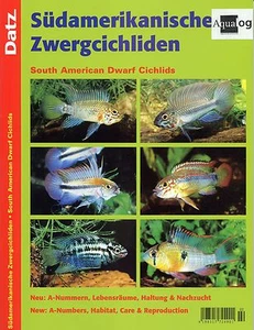 DATZ South American Dwarf Cichlids - Picture 1 of 1