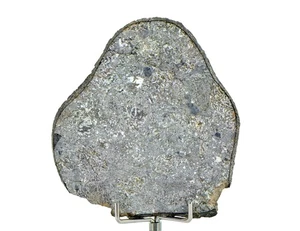 32.12g Unbrecciated Eucrite Slice I HED I NWA 17927 -  TOP METEORITE - Picture 1 of 8