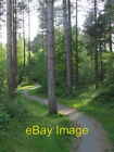 Photo 6x4 Footpath through the forest Malltraeth A footpath leading from  c2006