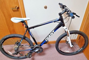 Giant Revel for sale | eBay