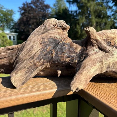 多功能漂流木 14x5x8 – 直立或平硬木用于装饰、背心、露台 — 第 1/4 张图片