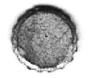 BTS (Better Than Scratch) 689 S Scale Bottle Cap Sign - Picture 1 of 1