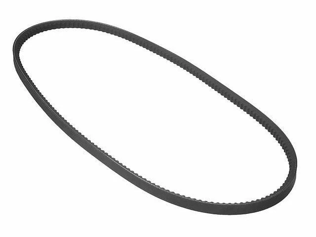 Cinturón multi costilla para Honda Civic 1980-1983 1981 1982 J662WX Foto 1 de 1