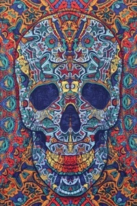 "Ornate Skull" 3D Tapestry - 30 x 45 - FREE SHIPPING - Picture 1 of 5