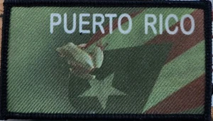 Parche Coqui Bandera Puerto Rico con Sujetador Marca VELCRO® I - Imagen 1 de 1