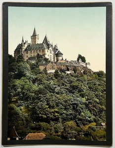 Wernigerode Harz Sachsen-Anhalt - Photochrom Foto Photo 1890. - Bild 1 von 1