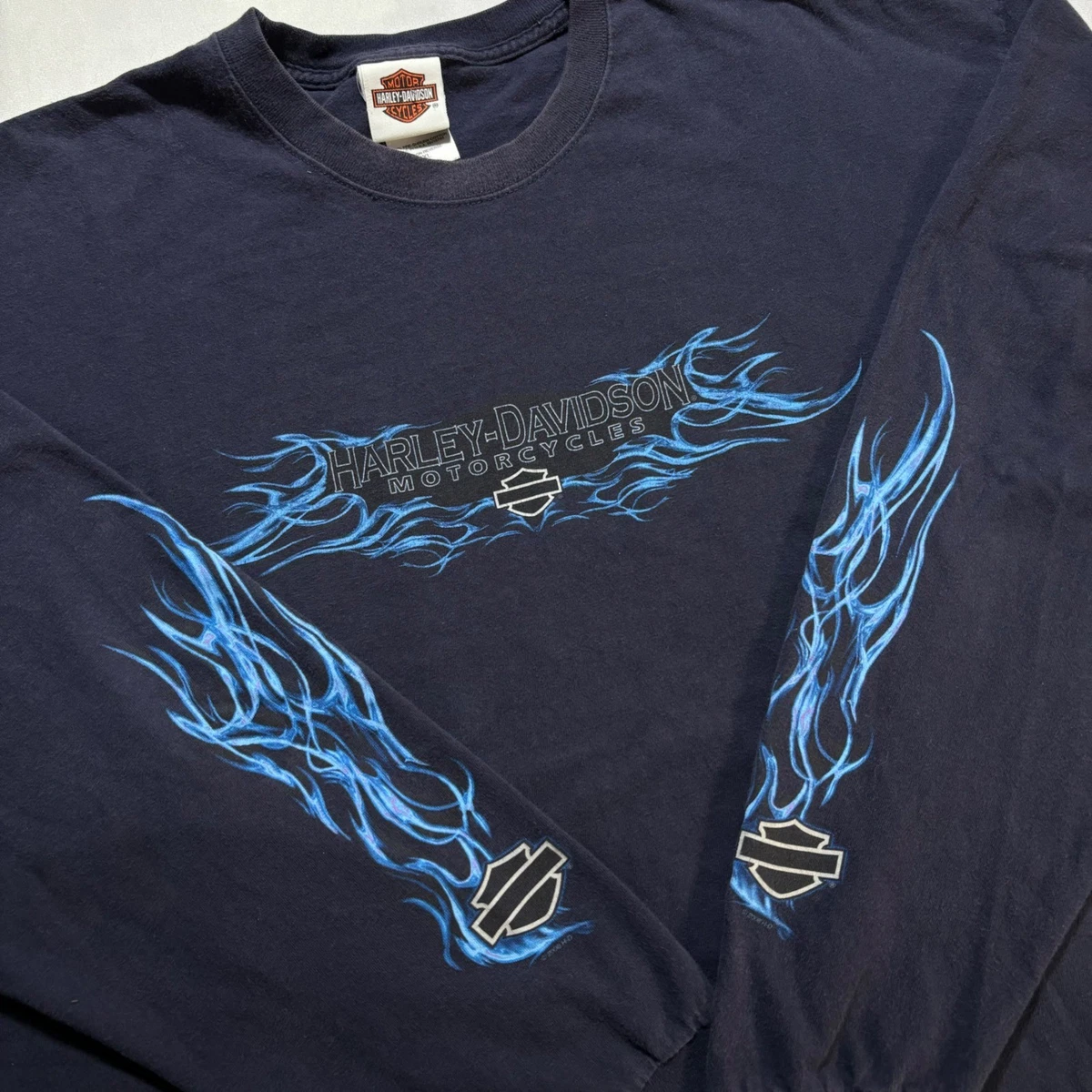 HARLEY DAVIDSON Blue flame ルーニーチューンズ HARLEY DAVIDSON Blue flame ルーニーチューンズ HARLEY DAVIDSON Blue