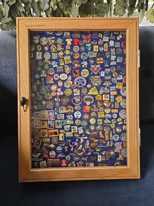 Lot Of New And Vintage Pins of Over 200 pins mounted on display 18" By 24" Case - Picture 1 of 12
