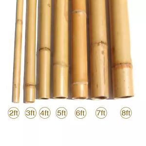 Bamboo Canes Garden Plant Flower Support Profesional Cane Stick Pole Thick Stake - Picture 1 of 30