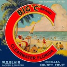 Clearwater Florida Big "C" Orange Citrus Fruit Crate Label Vintage Art Print