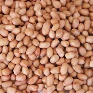 Raw Peanut Natural Peanut Groundnut Fresh Whole Quality Dry Fruit Free Shipping