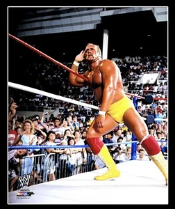 FOTO DE LUCHA LIBRE 8X10 CON LICENCIA OFICIAL WWE HULK HOGAN ARCHIVO DE FOTO ORIGINAL 2 - Imagen 1 de 1