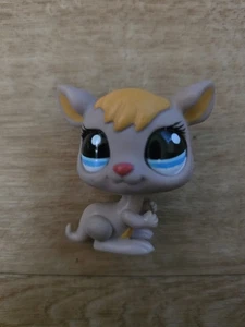 Littlest Pet Shop ~ #1255 ~ Känguru ~ hellbraun gelb ~ blaue Punkte Augen - Bild 1 von 3